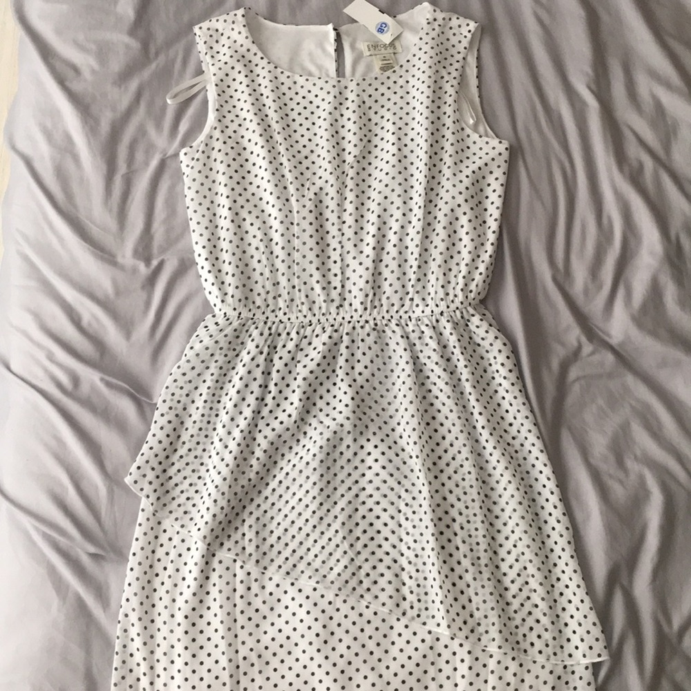 Enfocus Studio Sleeveless Polka Dress